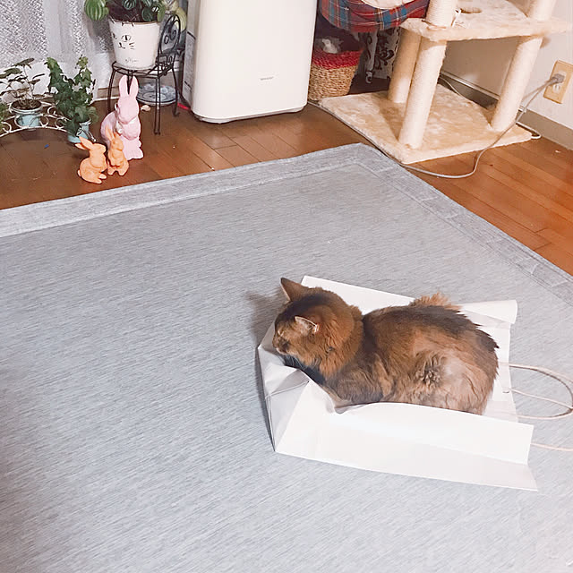 yukarinさんの実例写真