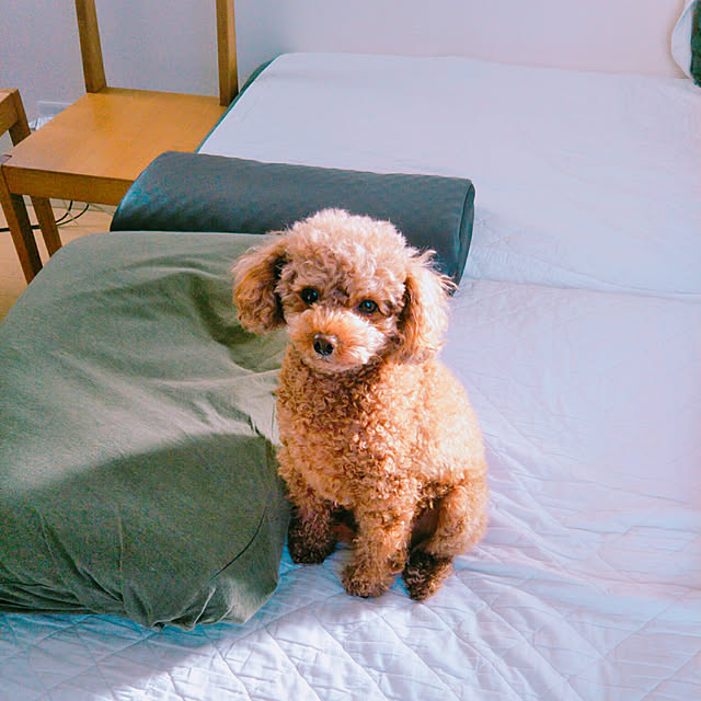 ribbonさんの実例写真