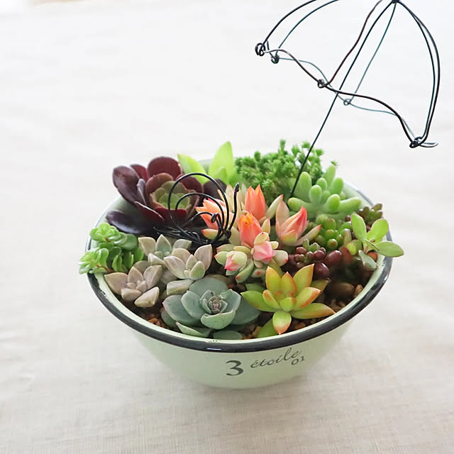 ワイヤークラフト 多肉植物寄せ植えのおしゃれなアレンジ・飾り ワイヤークラフト 多肉植物寄せ植えのおしゃれなアレンジ・飾り