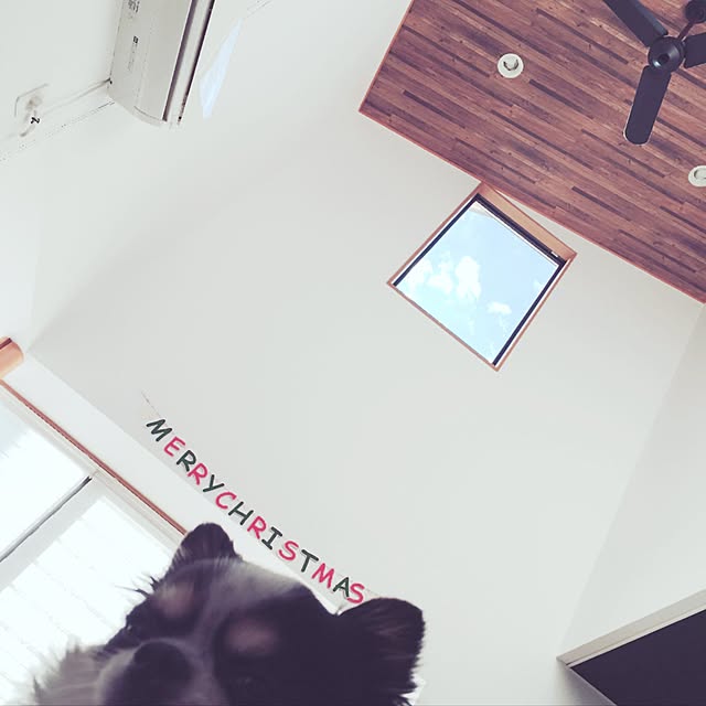 Masakoさんの実例写真