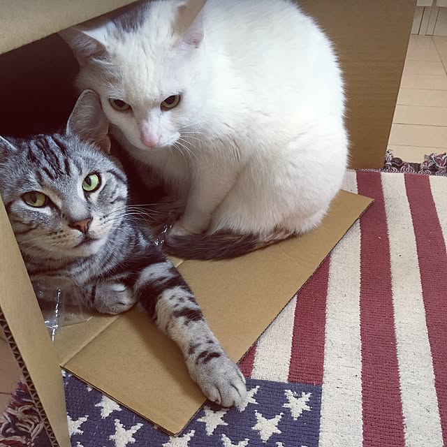 hiro_mashさんの実例写真