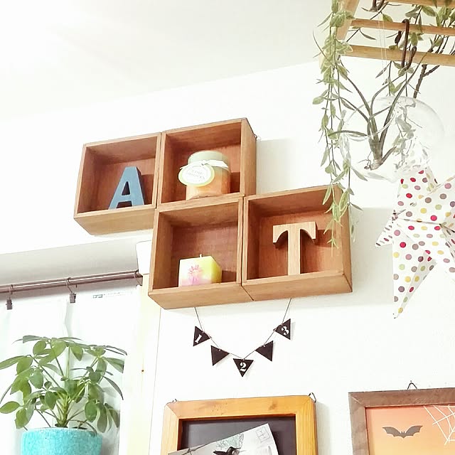 maiさんの実例写真