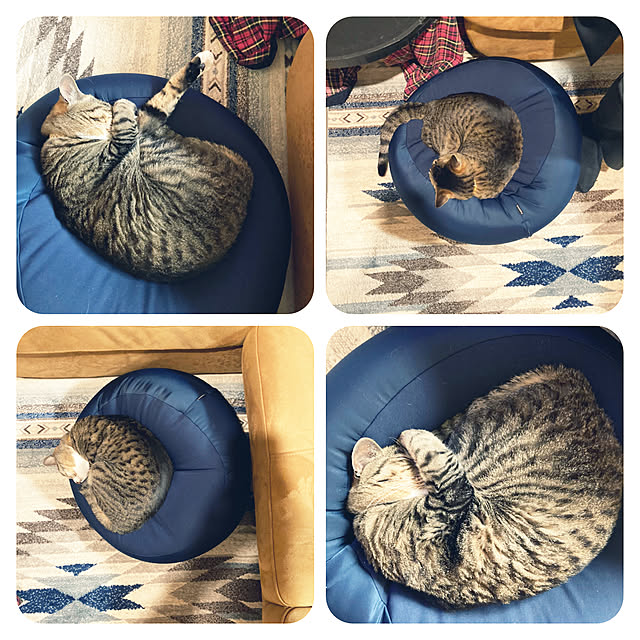 suemonta14さんの実例写真