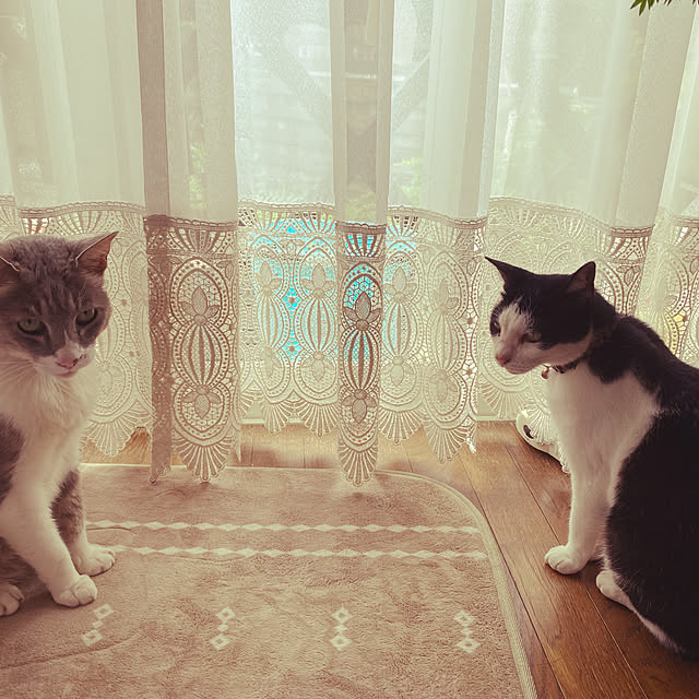 tamayanさんの実例写真