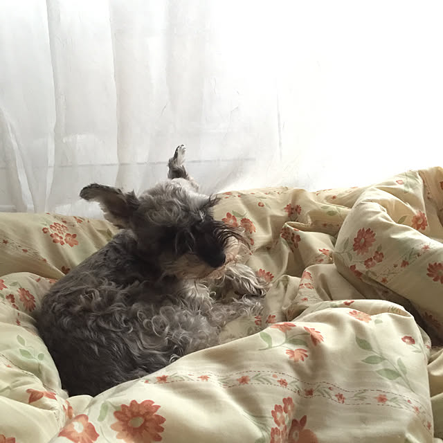 me_sweetさんの実例写真