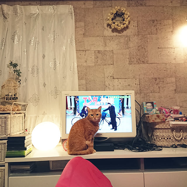 asuminさんの実例写真
