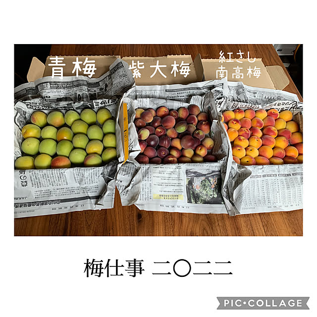 m.mさんの実例写真