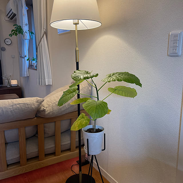 hanikamiさんの実例写真