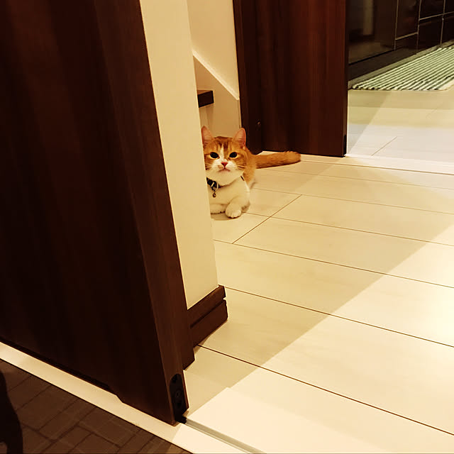 KotarouKunさんの実例写真
