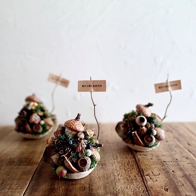 shituraeさんの実例写真