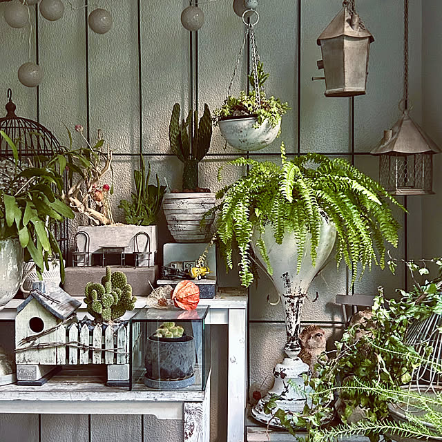 DAYONEさんの実例写真