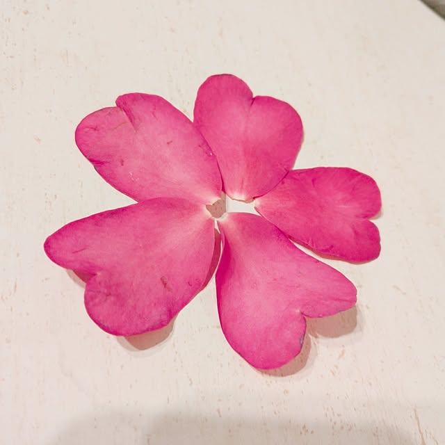 yokkoさんの部屋