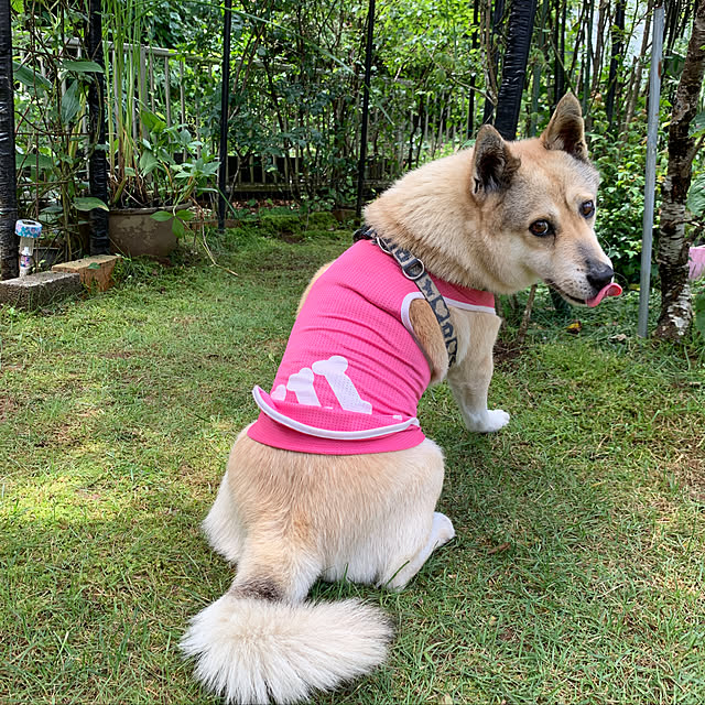 Miryさんの実例写真