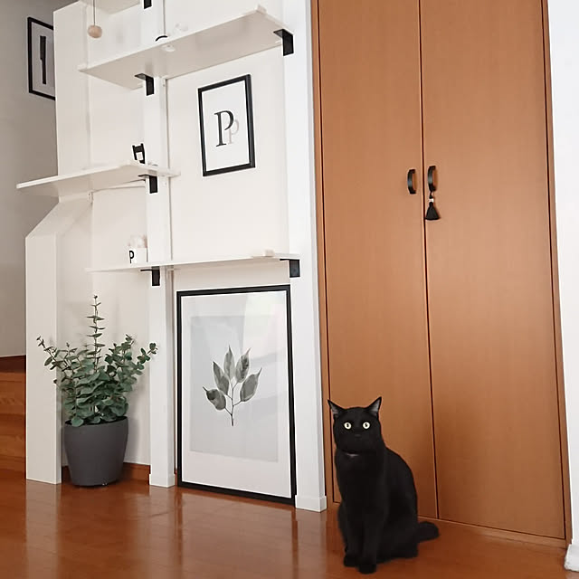 maikyさんの実例写真
