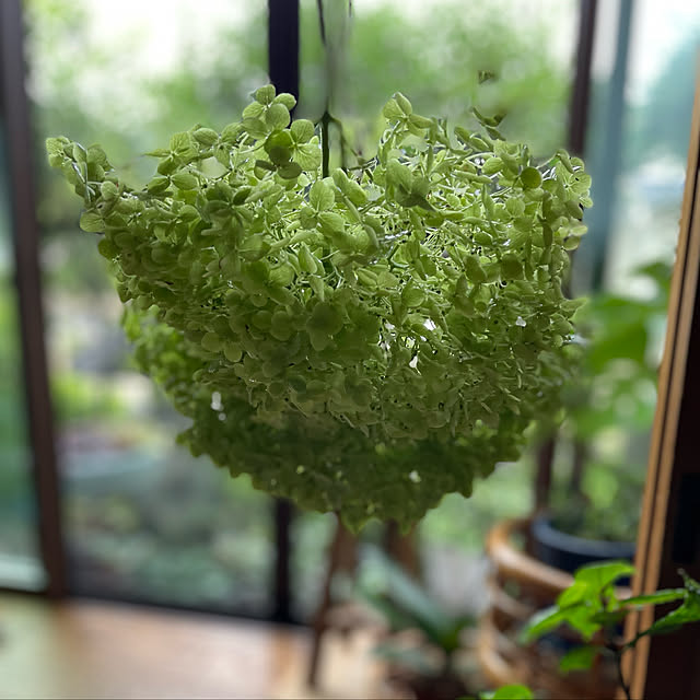 buchiさんの実例写真