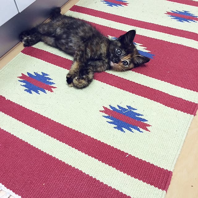 nmeeeさんの実例写真