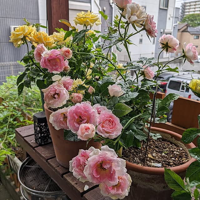 kazuさんの部屋