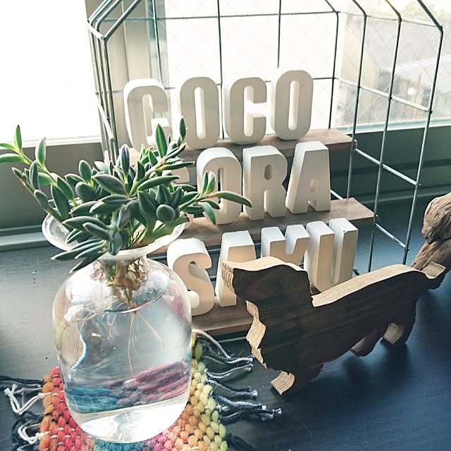 cocosorasakuさんの実例写真