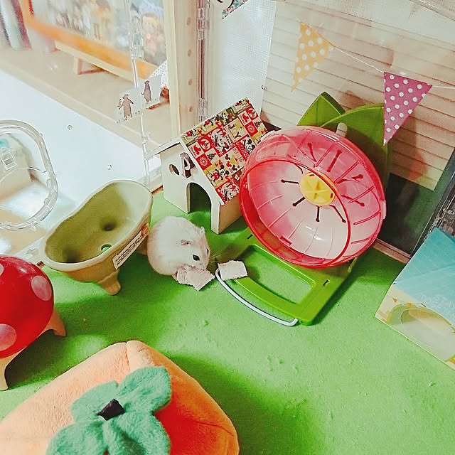 tomomusubiさんの実例写真