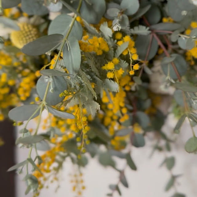 burubonさんの部屋
