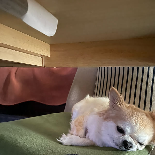 natsumiさんの実例写真