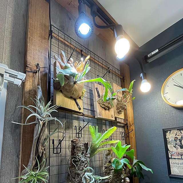 diy_sjさんの実例写真