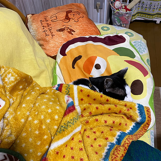 SHIHOさんの実例写真