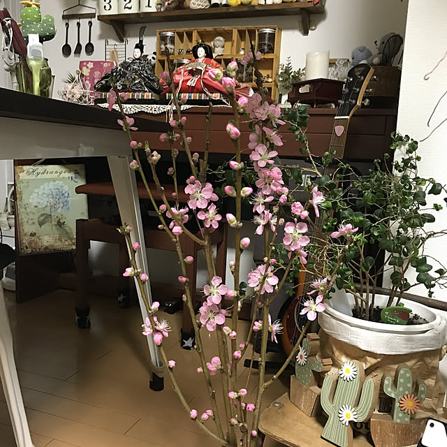 michi-michi39さんの実例写真