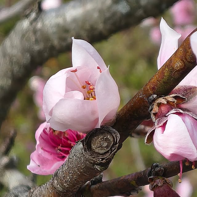 Rubiconさんの部屋