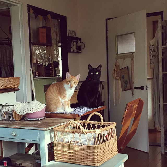 latteさんの実例写真