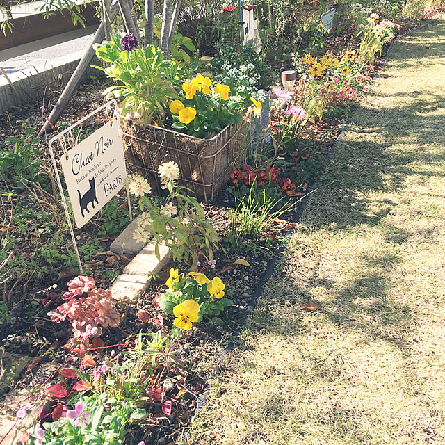 miyo419さんの実例写真