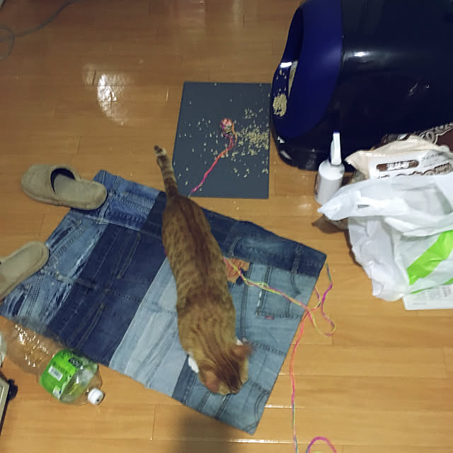 komugiさんの実例写真
