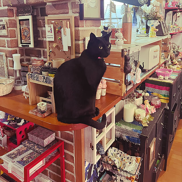 jijiさんの実例写真