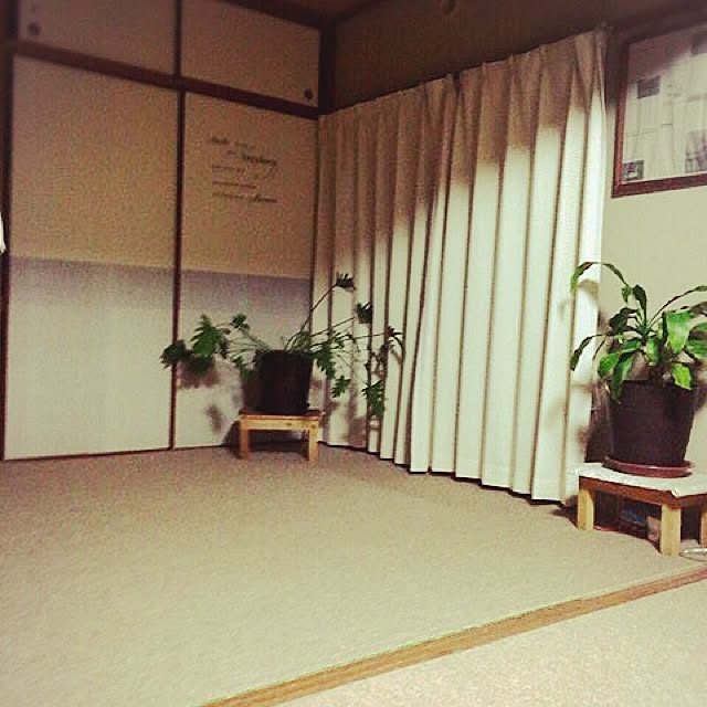 asukaさんの実例写真
