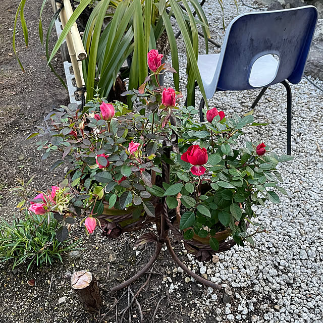 shin0719さんの部屋