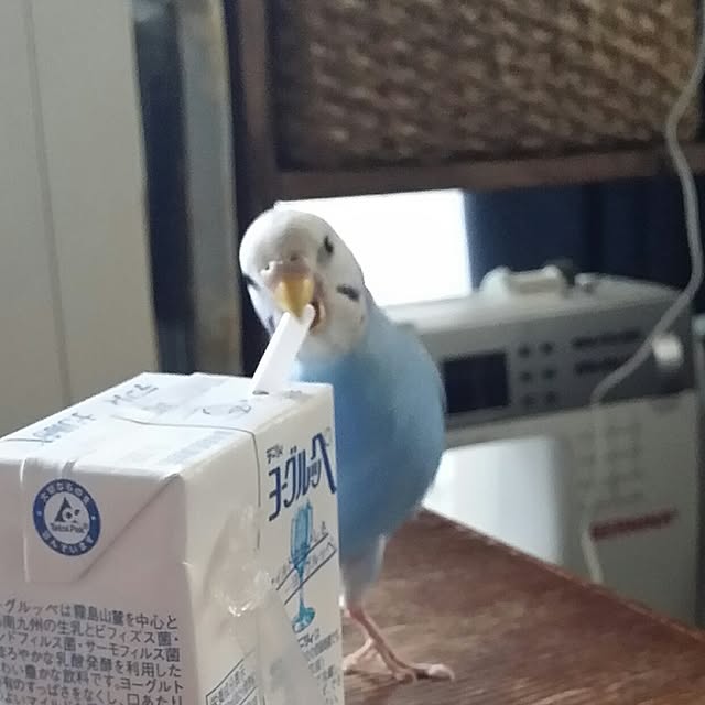karinさんの実例写真