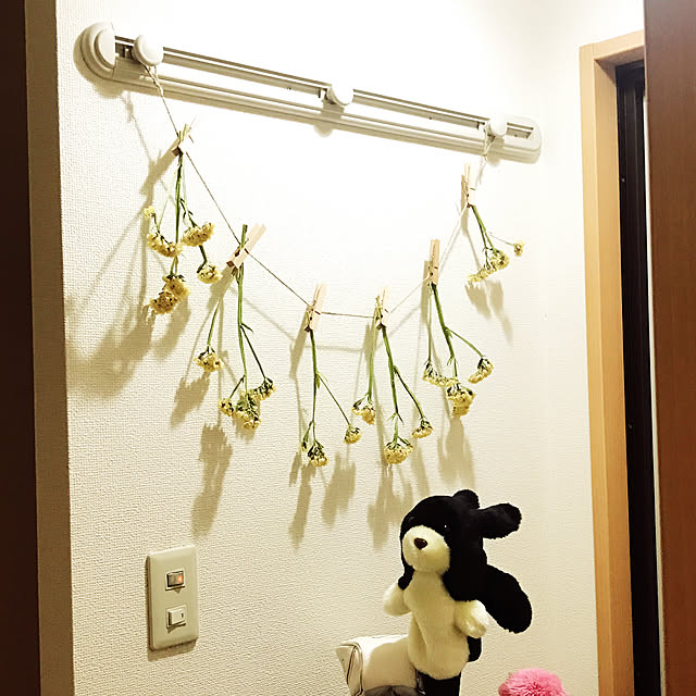 ameonnaさんの実例写真