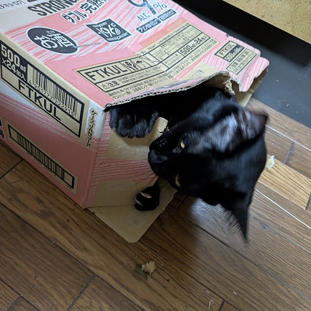asaさんの部屋