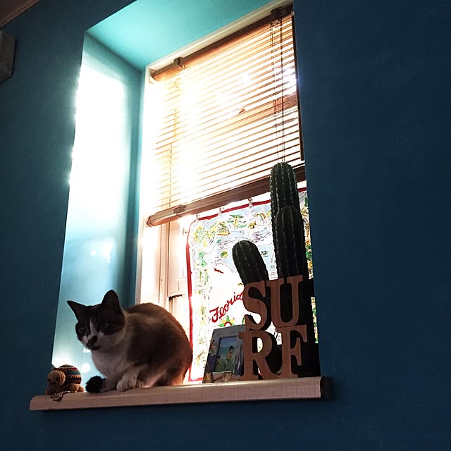 bowbowcoさんの実例写真