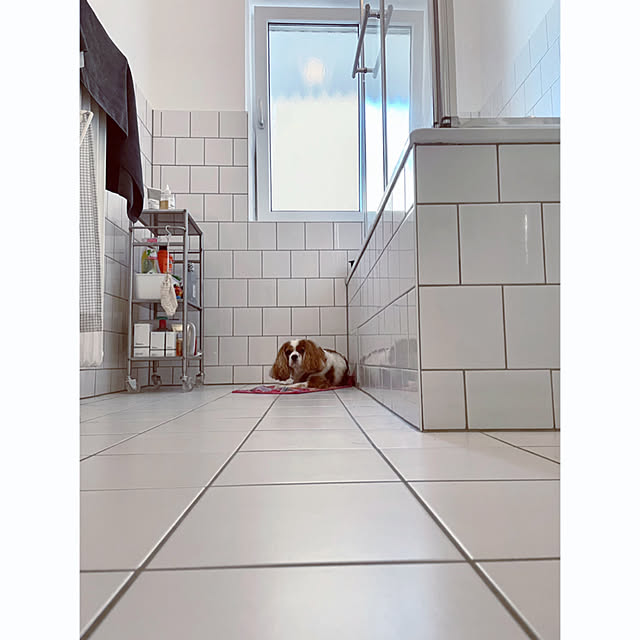 Mugiさんの実例写真