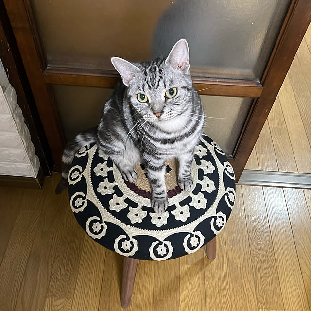 zabonzabonさんの実例写真