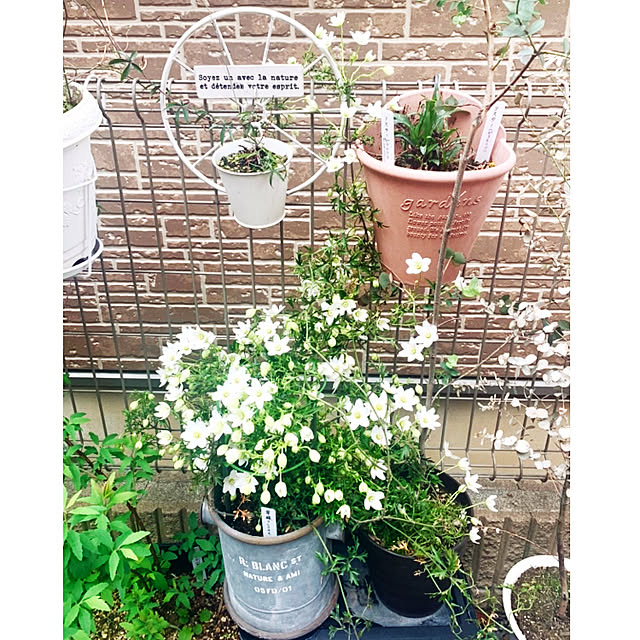 mo-nosukeさんの実例写真