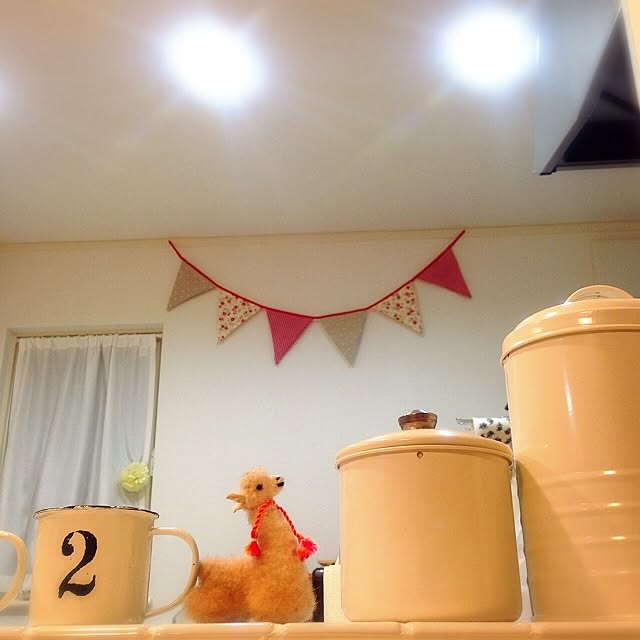 alpacaさんの実例写真