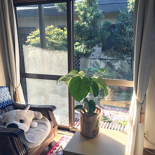 m-ktry.0530mikaさんの実例写真