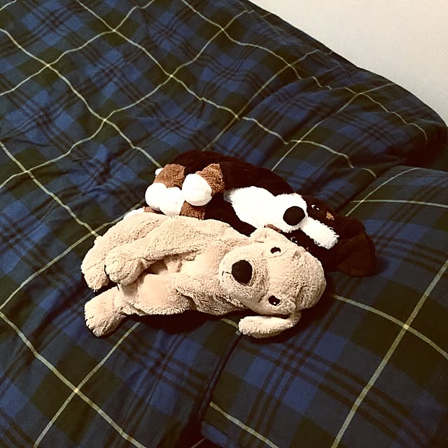 ryoさんの実例写真