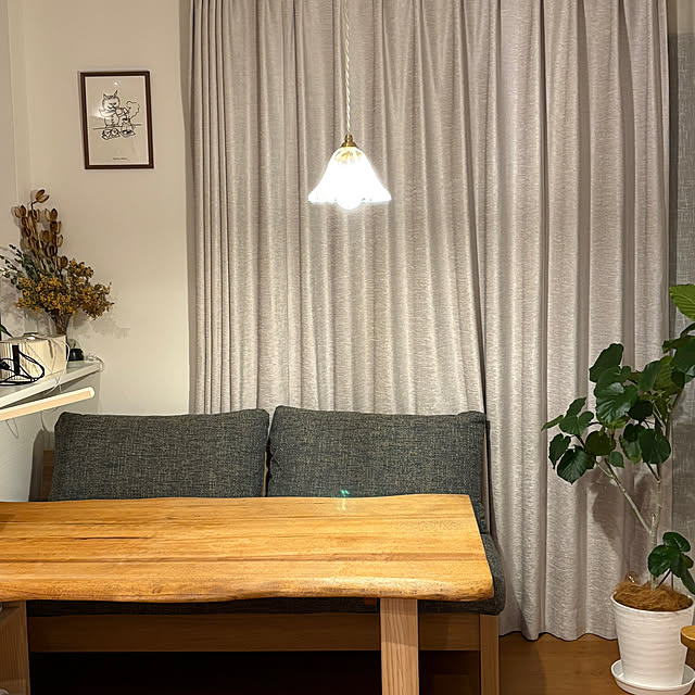 Hachiさんの部屋