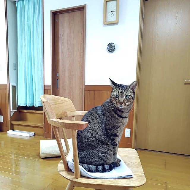 nachiさんの実例写真