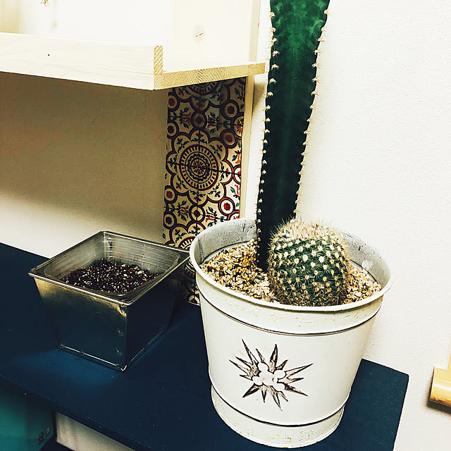 ritaさんの実例写真