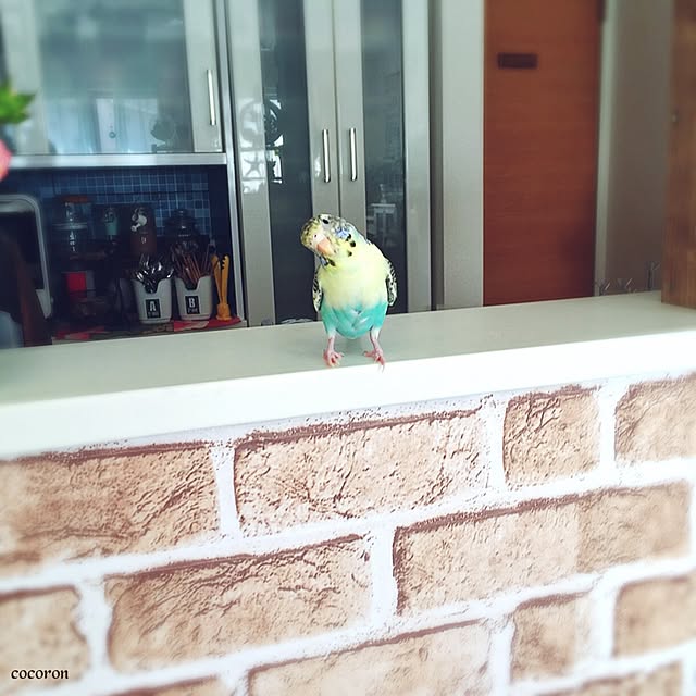 cocoronさんの実例写真