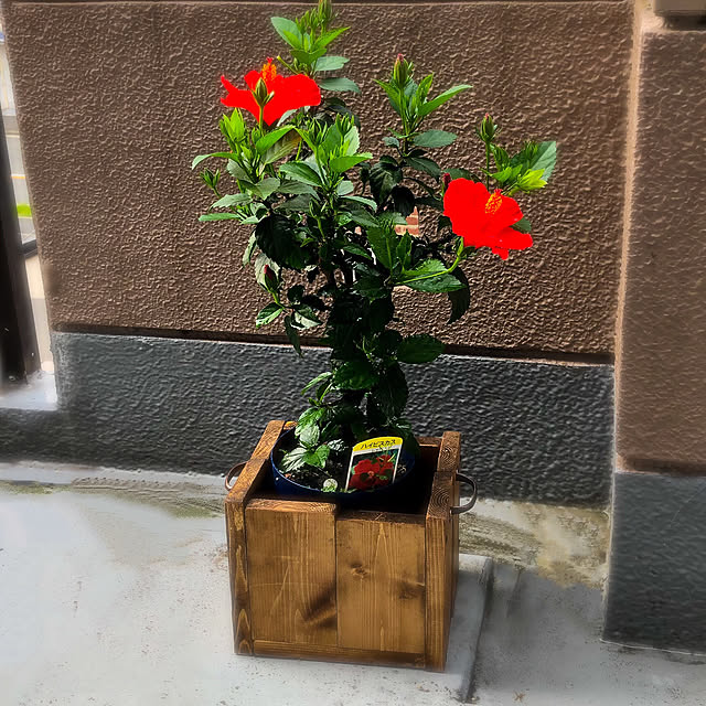 achiroomさんの実例写真